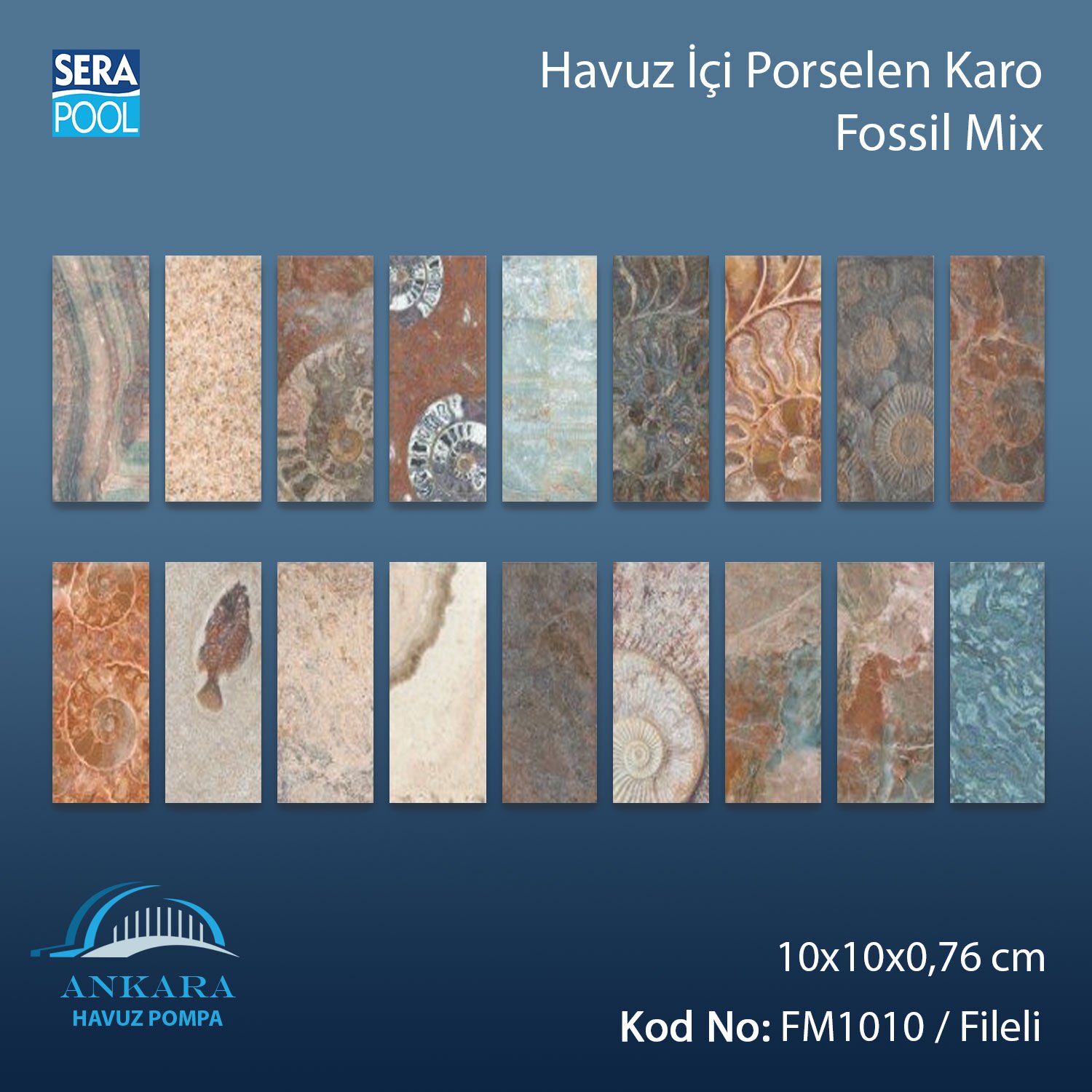 Fossil Mix (10x10 cm / Fileli) Porselen Karo - m² 'si