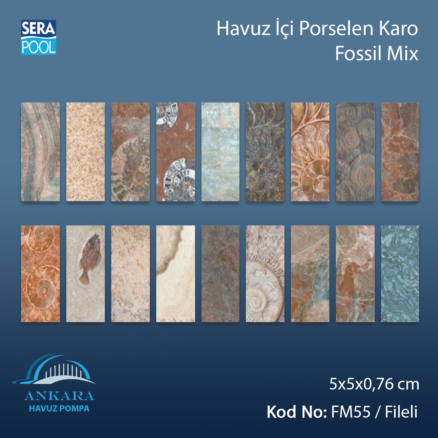 Fossil Mix (5x5 cm / Fileli) Porselen Karo - m² 'si