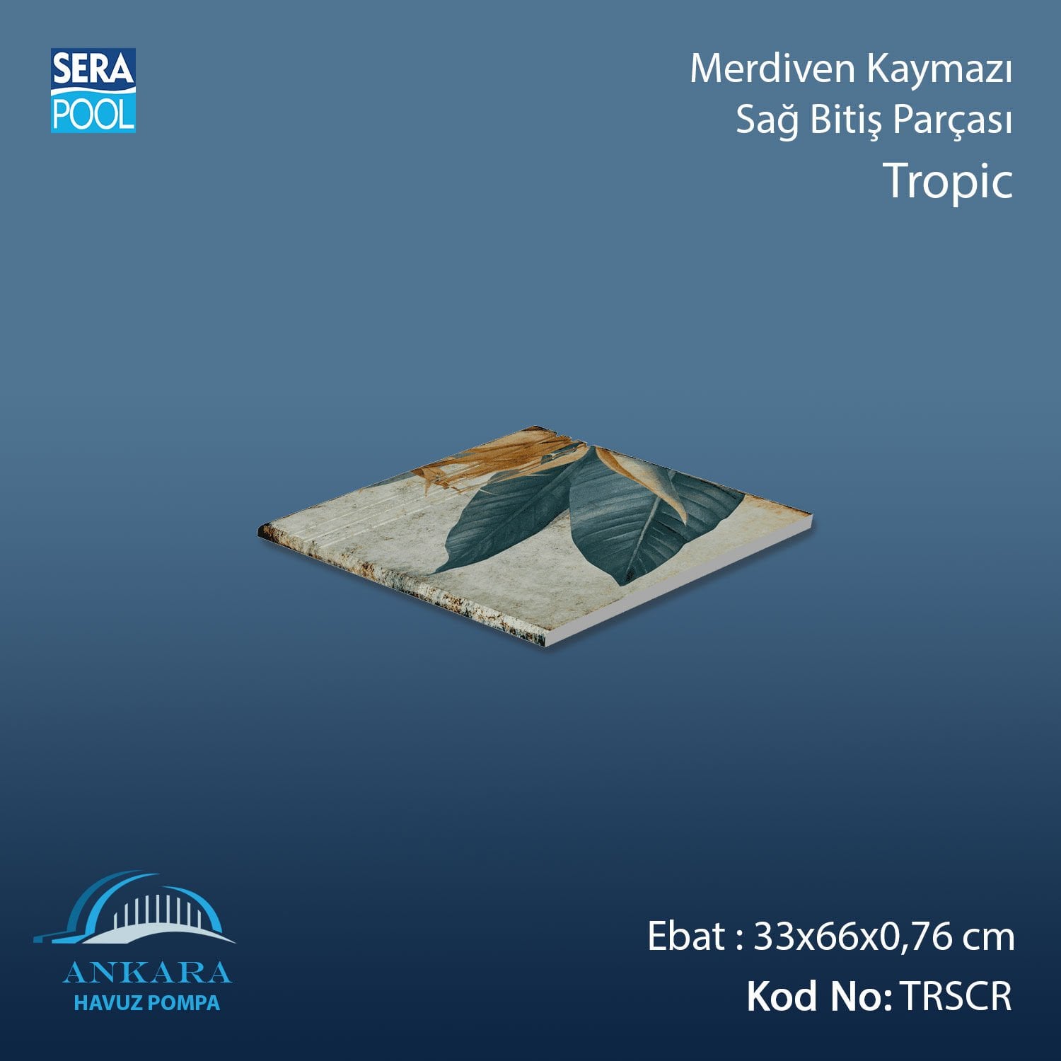 Tropic 33x66x0,76 cm Merdiven Kaymazı Sağ Bitiş