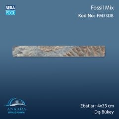 Fossil Mix 4x33 cm Dış Bükey