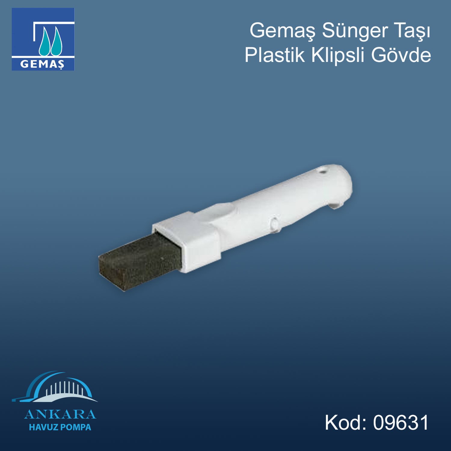Havuz Sünger Taşı