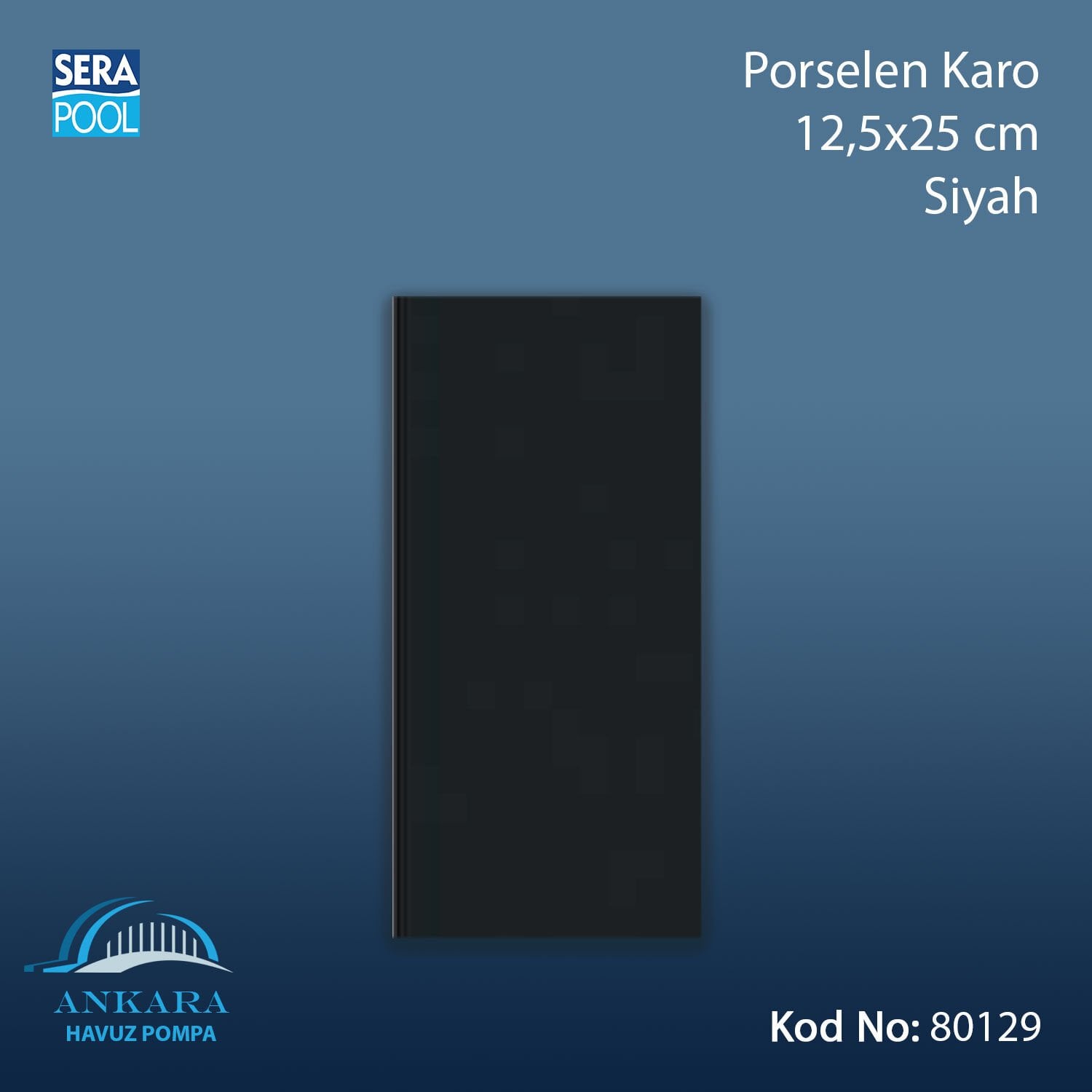 Porselen Karo 12,5x25 cm Siyah (m² ile satın alma)