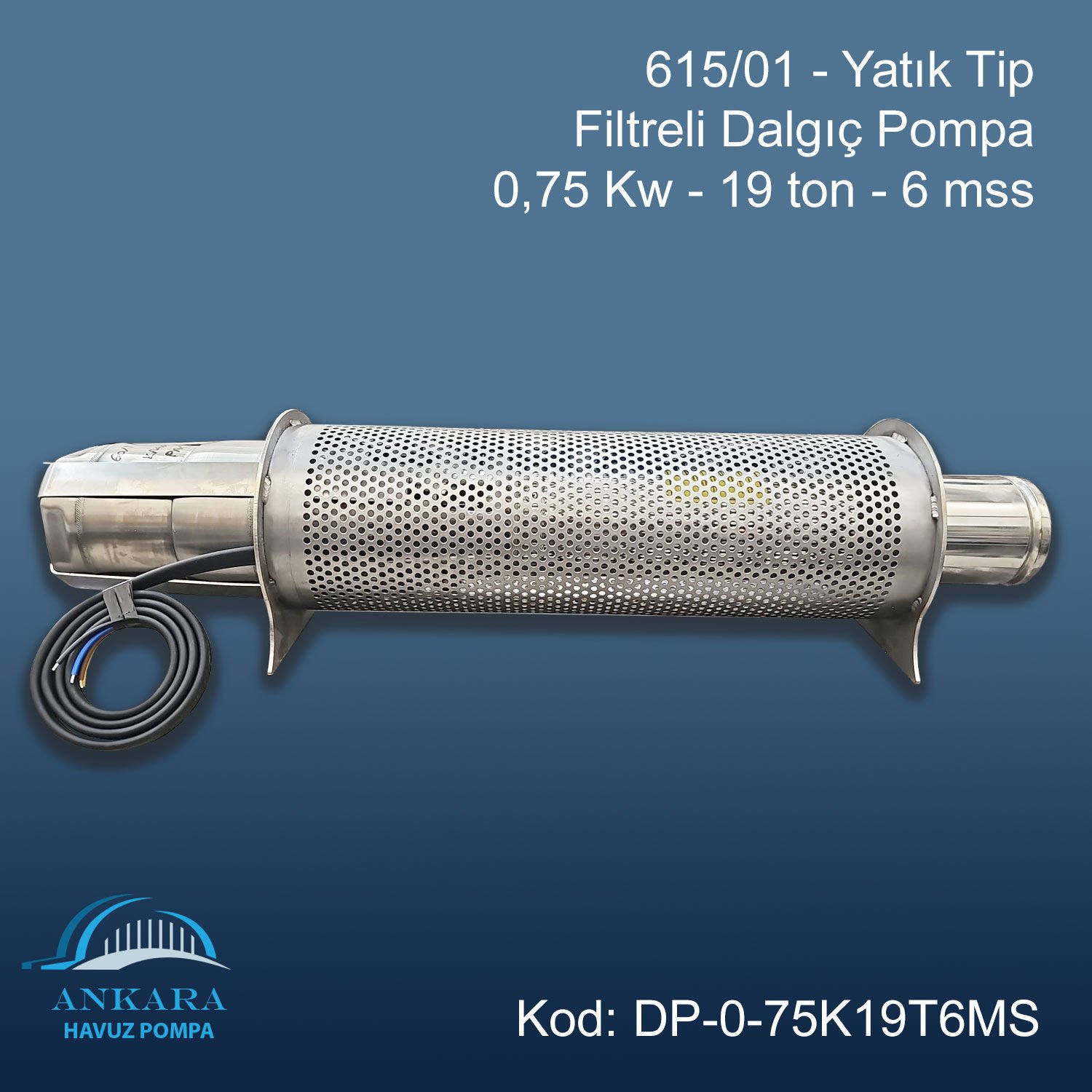 615/01 - Yatık Tip Filtreli Dalgıç Pompa - 0,75 Kw - 19 ton - 6 mss