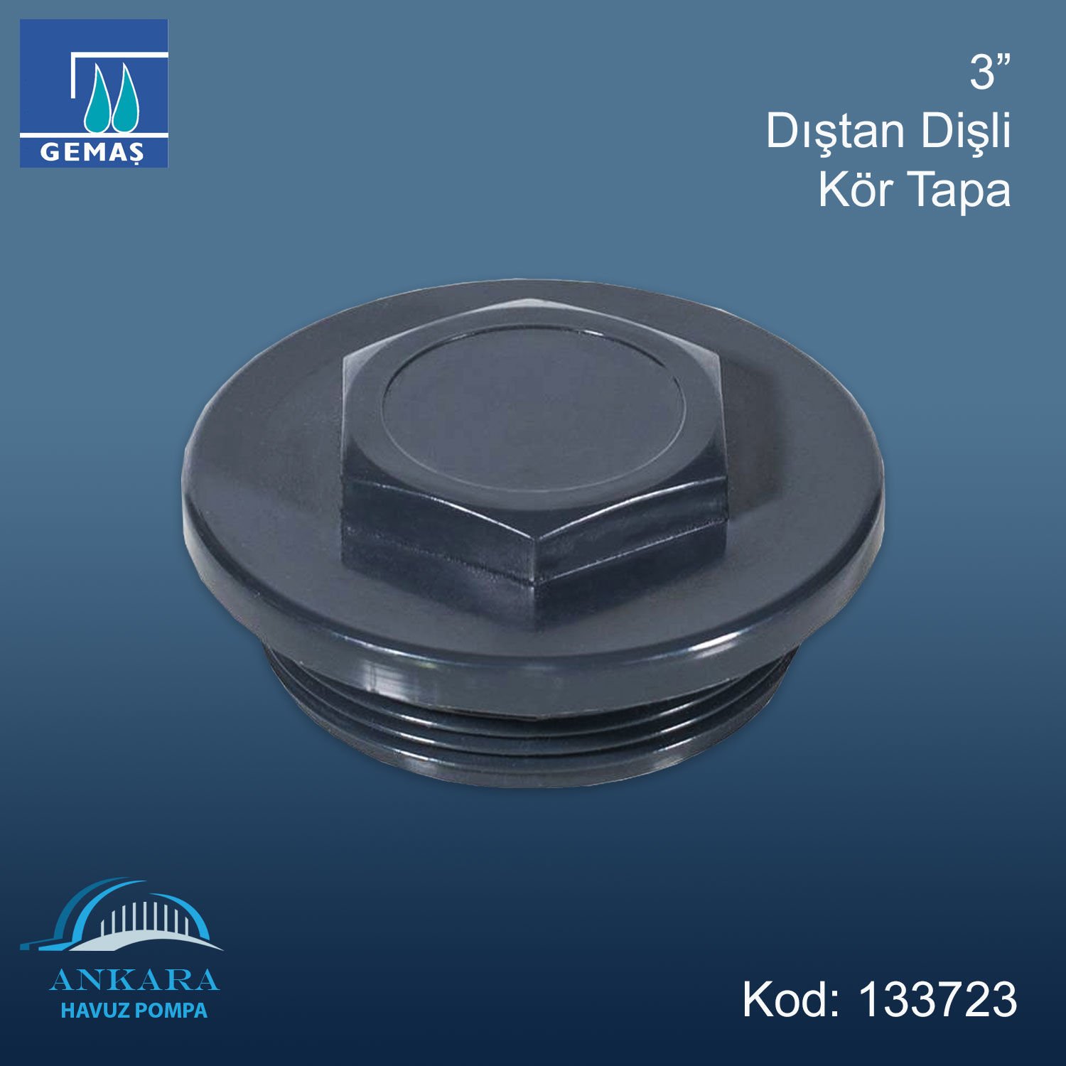 3'' Dıştan Dişli Kör Tapa