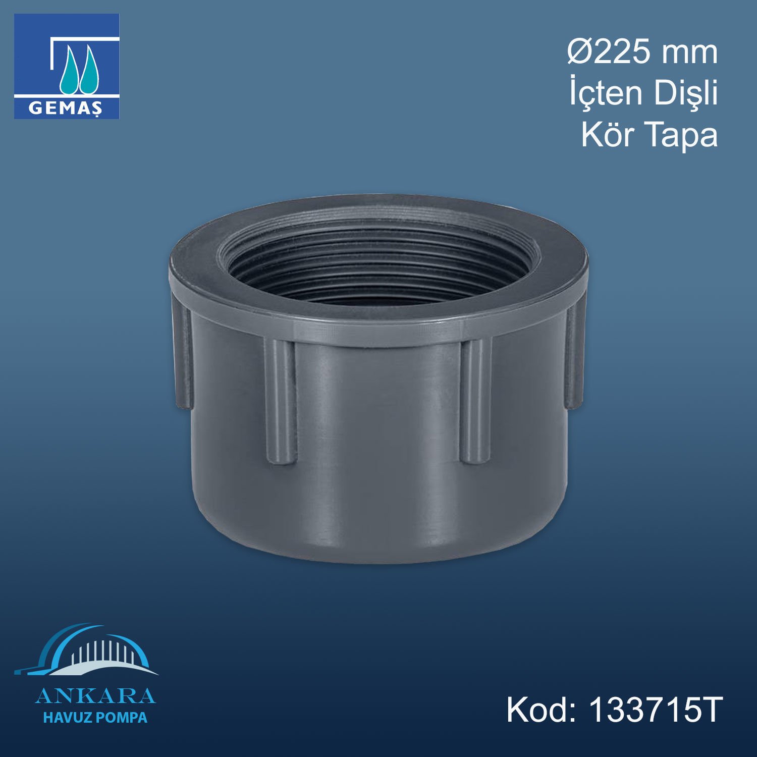 Ø225 mm İçten Dişli Kör Tapa